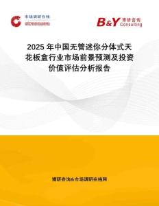 2025年中國無管迷你分體式天花板盒行業(yè)市場前景預(yù)測及投資價值評估分析報告