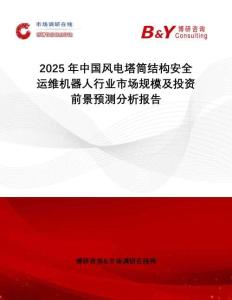 2025年中國(guó)風(fēng)電塔筒結(jié)構(gòu)安全運(yùn)維機(jī)器人行業(yè)市場(chǎng)規(guī)模及投資前景預(yù)測(cè)分析報(bào)告