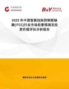 2025年中國智能扭矩控制聯軸器(ITCC)行業市場前景預測及投資價值評估分析報告