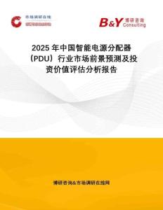 2025年中國智能電源分配器（PDU）行業市場前景預測及投資價值評估分析報告