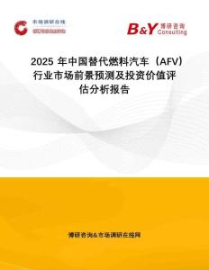 2025年中國替代燃料汽車（AFV）行業市場前景預測及投資價值評估分析報告