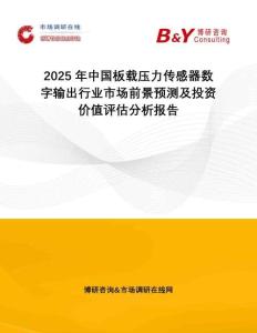 2025年中國板載壓力傳感器數(shù)字輸出行業(yè)市場前景預(yù)測及投資價(jià)值評估分析報(bào)告
