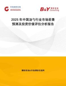 2025年中國湯勺行業(yè)市場前景預測及投資價值評估分析報告