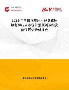 2025年中國汽車用引線盤式壓敏電阻行業市場前景預測及投資價值評估分析報告