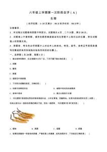 河南省安陽市滑縣2025-2026學年八年級上學期第一次階段自評生物試題（A）（含答案）