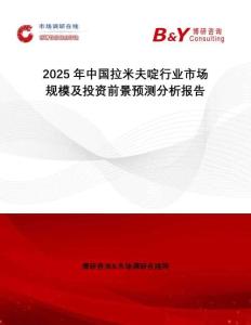 2025年中國拉米夫啶行業(yè)市場規(guī)模及投資前景預(yù)測分析報告