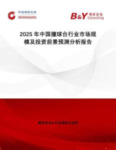 2025年中國撞球臺行業(yè)市場規(guī)模及投資前景預(yù)測分析報告