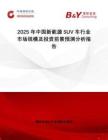 2025年中國新能源SUV車行業市場規模及投資前景預測分析報告