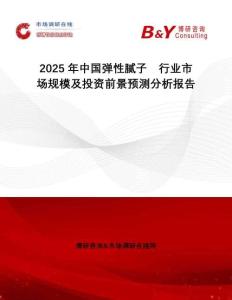 2025年中國彈性膩子行業(yè)市場規(guī)模及投資前景預(yù)測分析報告