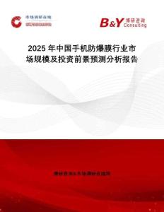 2025年中國手機防爆膜行業(yè)市場規(guī)模及投資前景預測分析報告