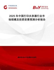2025年中國打印共享器行業(yè)市場規(guī)模及投資前景預(yù)測分析報告