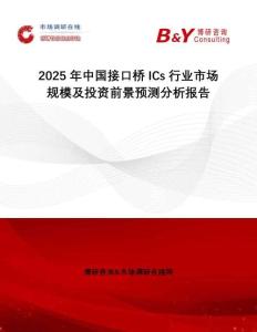 2025年中國接口橋ICs行業(yè)市場規(guī)模及投資前景預測分析報告