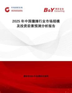 2025年中國撞捶行業(yè)市場規(guī)模及投資前景預(yù)測分析報告