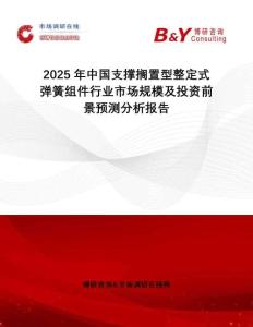 2025年中國支撐擱置型整定式彈簧組件行業(yè)市場規(guī)模及投資前景預(yù)測分析報告