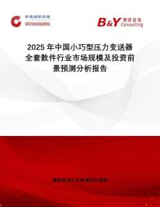 2025年中國小巧型壓力變送器全套散件行業市場規模及投資前景預測分析報告