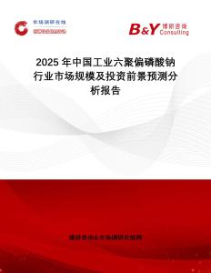2025年中國工業(yè)六聚偏磷酸鈉行業(yè)市場規(guī)模及投資前景預測分析報告