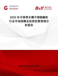2025年中國帶水槽不銹鋼櫥柜行業(yè)市場規(guī)模及投資前景預(yù)測分析報告