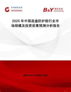 2025年中國底盤防護(hù)膠行業(yè)市場規(guī)模及投資前景預(yù)測分析報(bào)告
