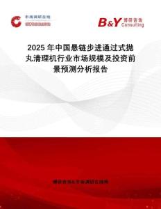 2025年中國懸鏈步進通過式拋丸清理機行業市場規模及投資前景預測分析報告