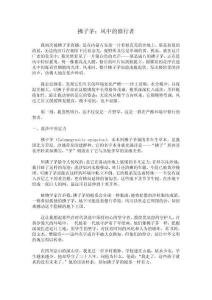 拂子茅：風(fēng)中的修行者