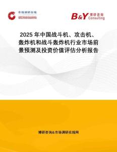 2025年中國戰(zhàn)斗機(jī)、攻擊機(jī)、轟炸機(jī)和戰(zhàn)斗轟炸機(jī)行業(yè)市場前景預(yù)測及投資價(jià)值評估分析報(bào)告