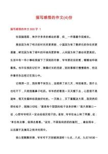 描寫感悟的作文份