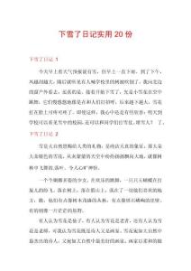 下雪了日記實用20份