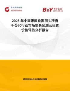 2025年中國帶圓盤形測頭精密千分尺行業(yè)市場前景預測及投資價值評估分析報告
