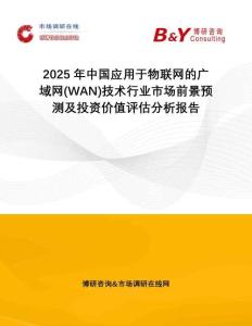 2025年中國應用于物聯網的廣域網(WAN)技術行業市場前景預測及投資價值評估分析報告