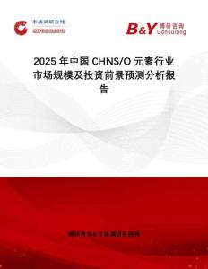 2025年中国CHNS O元素行业市场规模及投资前景预测分析报告