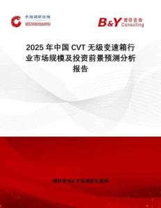 2025年中國CVT無級變速箱行業(yè)市場規(guī)模及投資前景預(yù)測分析報告