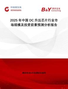 2025年中國DC升壓芯片行業(yè)市場規(guī)模及投資前景預測分析報告