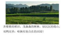 景記松陽·水南街道程徐村