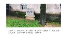 景記松陽(yáng)·文里三廟