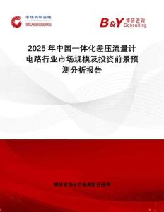 2025年中國一體化差壓流量計電路行業(yè)市場規(guī)模及投資前景預(yù)測分析報告