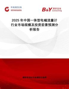 2025年中國一體型電磁流量計行業(yè)市場規(guī)模及投資前景預(yù)測分析報告