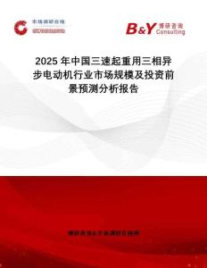2025年中國三速起重用三相異步電動機行業市場規模及投資前景預測分析報告