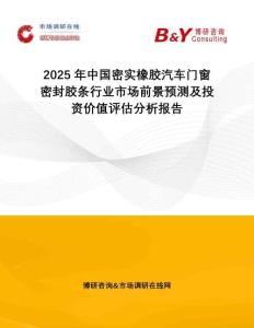 2025年中國密實橡膠汽車門窗密封膠條行業(yè)市場前景預測及投資價值評估分析報告