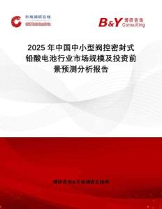 2025年中國(guó)中小型閥控密封式鉛酸電池行業(yè)市場(chǎng)規(guī)模及投資前景預(yù)測(cè)分析報(bào)告