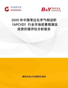 2025年中國常壓化學(xué)氣相淀積（APCVD）行業(yè)市場前景預(yù)測及投資價(jià)值評估分析報(bào)告