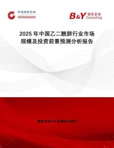 2025年中国乙二酰肼行业市场规模及投资前景预测分析报告