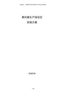 費(fèi)托蠟生產(chǎn)線項(xiàng)目實(shí)施方案