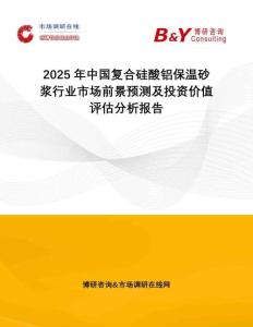 2025年中國復(fù)合硅酸鋁保溫砂漿行業(yè)市場前景預(yù)測及投資價值評估分析報告
