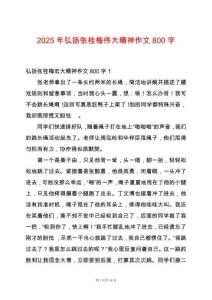 2025年弘揚(yáng)張桂梅偉大精神作文800字