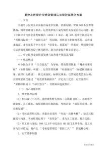 某中小民營企業(yè)績效管理與運營效率優(yōu)化方案
