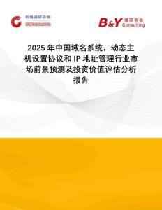 2025年中國(guó)域名系統(tǒng)，動(dòng)態(tài)主機(jī)設(shè)置協(xié)議和IP地址管理行業(yè)市場(chǎng)前景預(yù)測(cè)及投資價(jià)值評(píng)估分析報(bào)告
