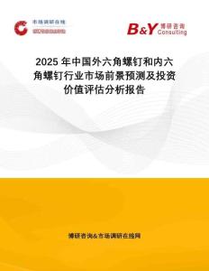 2025年中國(guó)外六角螺釘和內(nèi)六角螺釘行業(yè)市場(chǎng)前景預(yù)測(cè)及投資價(jià)值評(píng)估分析報(bào)告