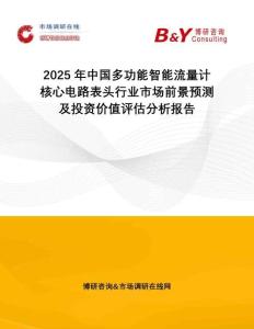 2025年中國多功能智能流量計核心電路表頭行業(yè)市場前景預(yù)測及投資價值評估分析報告