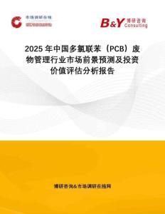 2025年中國多氯聯苯（PCB）廢物管理行業市場前景預測及投資價值評估分析報告