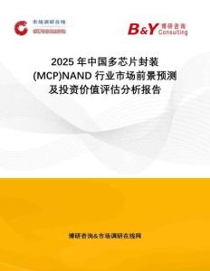 2025年中國(guó)多芯片封裝(MCP)NAND行業(yè)市場(chǎng)前景預(yù)測(cè)及投資價(jià)值評(píng)估分析報(bào)告